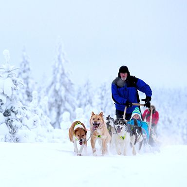 Diepe winter Lapland