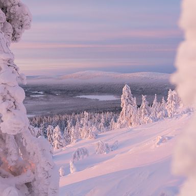 KAAMOS.jpg